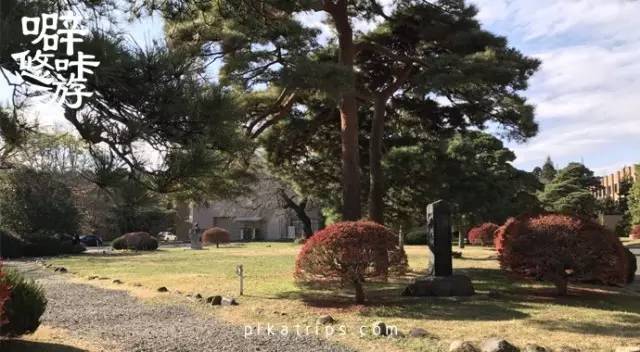 日本攻略｜森林之都，鲁迅先生笔下的日本仙台