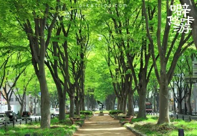 日本攻略｜森林之都，鲁迅先生笔下的日本仙台