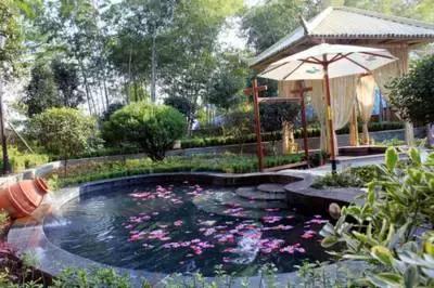 武汉五一去哪儿玩人少,五一去哪里玩武汉人少