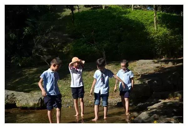 家长爆料:广外附小不适合书虫,更不适合想撒手不管的家长