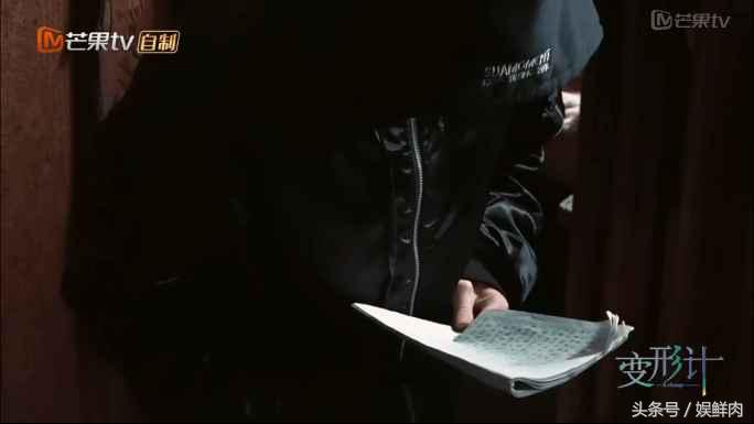 变形计陈新颖和丽姐全集,变形记陈新颖完整版