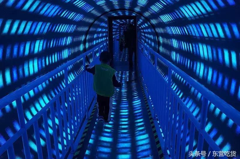 东营五一假期好去处,五一东营去哪里玩比较好