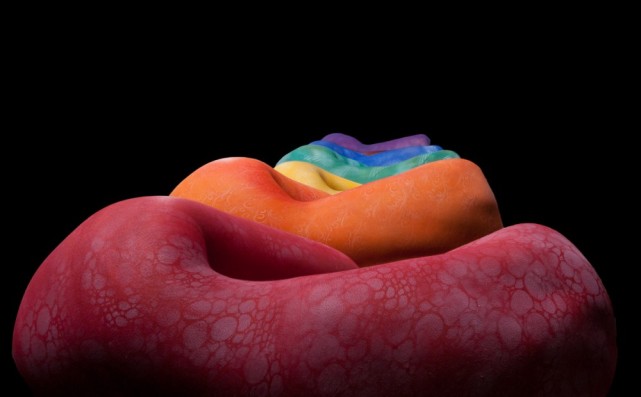 艺术家用自然物制作的作品图片,艺术家用自然的图案变成图谱