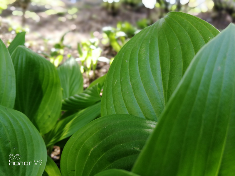 荣耀v9详细介绍,荣耀v9emui9.1哪个版本最流畅