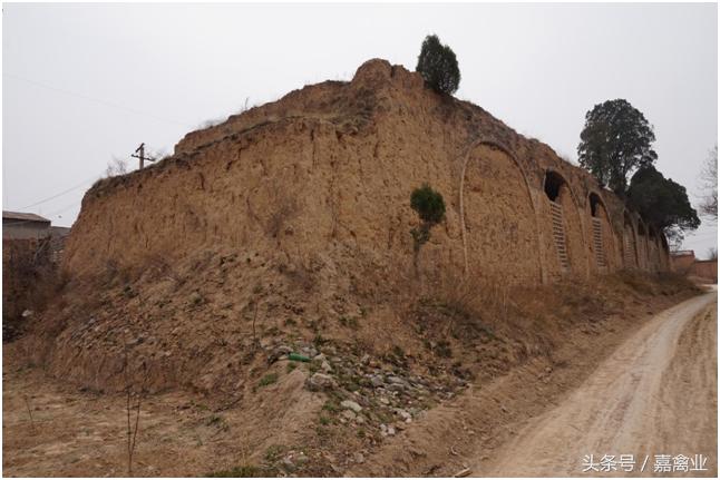 养鸡卖笨鸡蛋利润,从养鸡场批发鸡蛋搞零售能赚钱吗