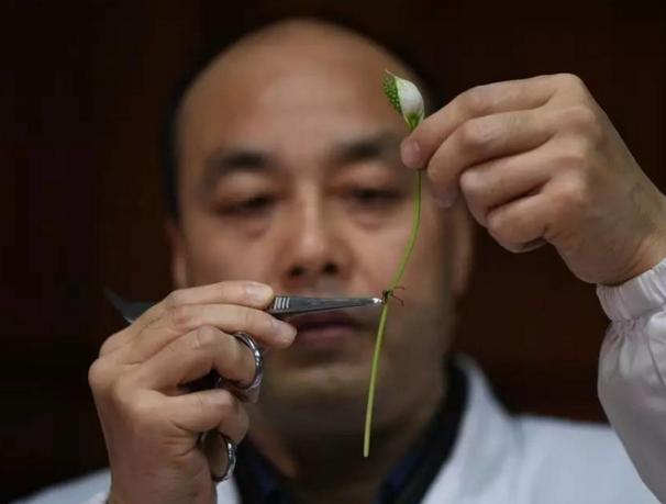 猪肉胡萝卜豆腐,猪肉胡萝卜豆腐大锅菜