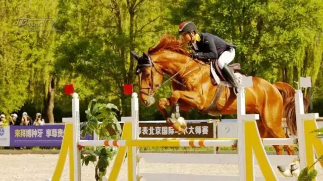 北京冠军杯马术巡回赛,2021鸟巢之路马术比赛