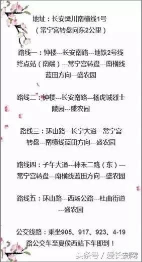 旅游：你知道西安城南的桃花岛、桃花庵在哪里吗？