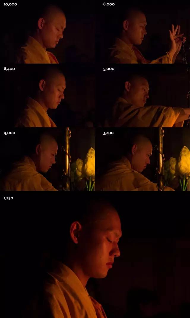 徕卡typ116黑白样片,徕卡leicastyp006中画幅