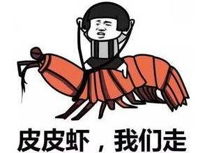 皮皮虾号航母网友评论,航母皮皮虾号