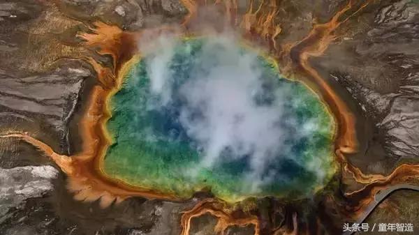 假期一定要带孩子看的5部纪录片,孩子必看的10部自然纪录片