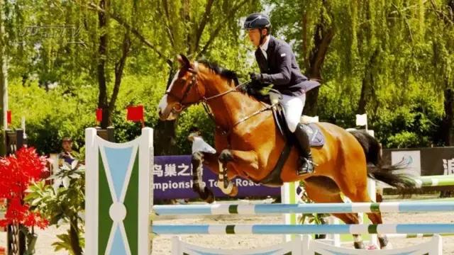 鸟巢之路马术巡回赛,2022鸟巢之路马术比赛观看渠道
