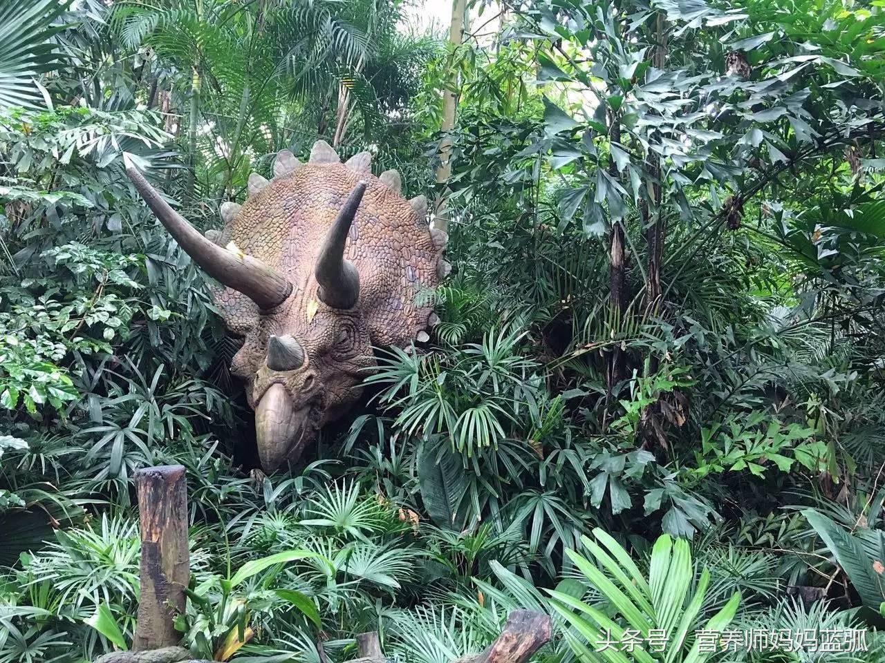 5.1带孩子去长隆推荐,带娃广东长隆欢乐世界游玩攻略