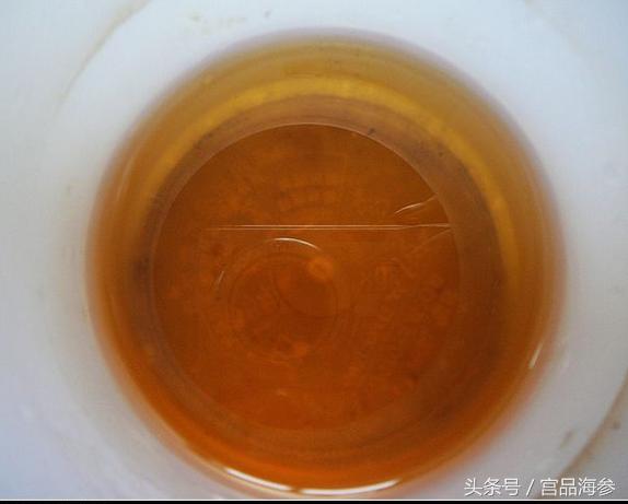 有人说海参太贵吃不起,教你如何快速制作咬得动的活海参