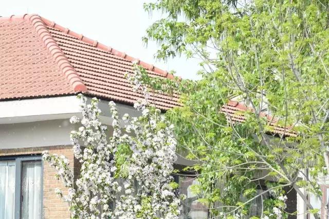 天津五大道百年建筑,天津五大道最美小洋楼欣赏