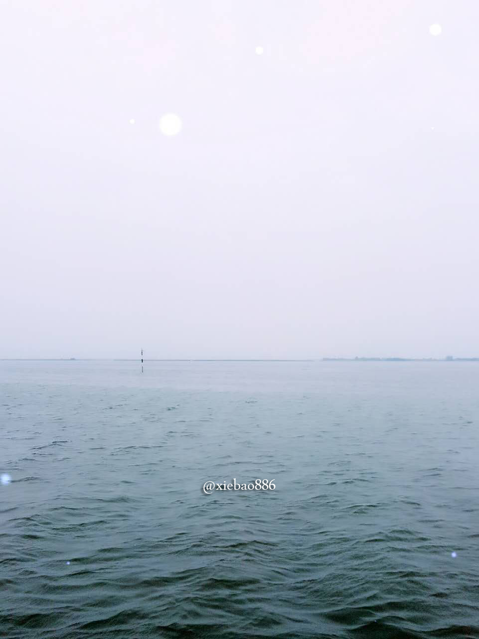 阳澄湖大闸蟹判断真伪,如何判断阳澄湖大闸蟹是否为正品