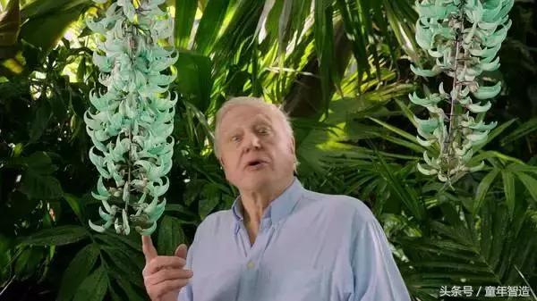 假期一定要带孩子看的5部纪录片,孩子必看的10部自然纪录片