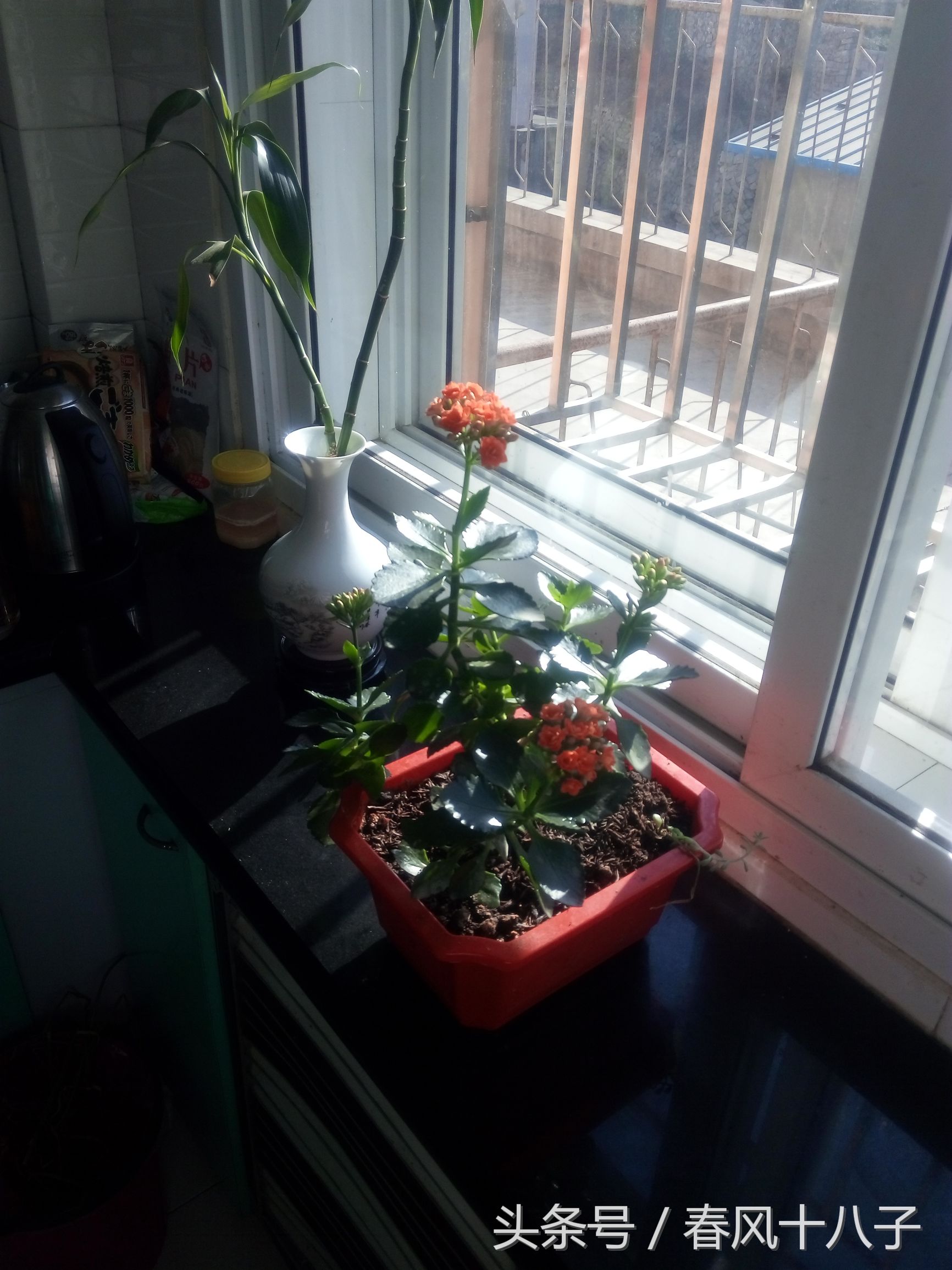 听了会单曲循环的十首歌,单曲循环的歌完整版