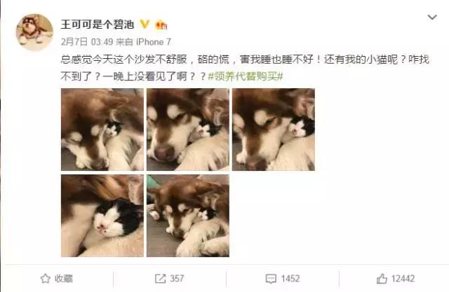 古牧真的很难养吗,古牧被遗弃了