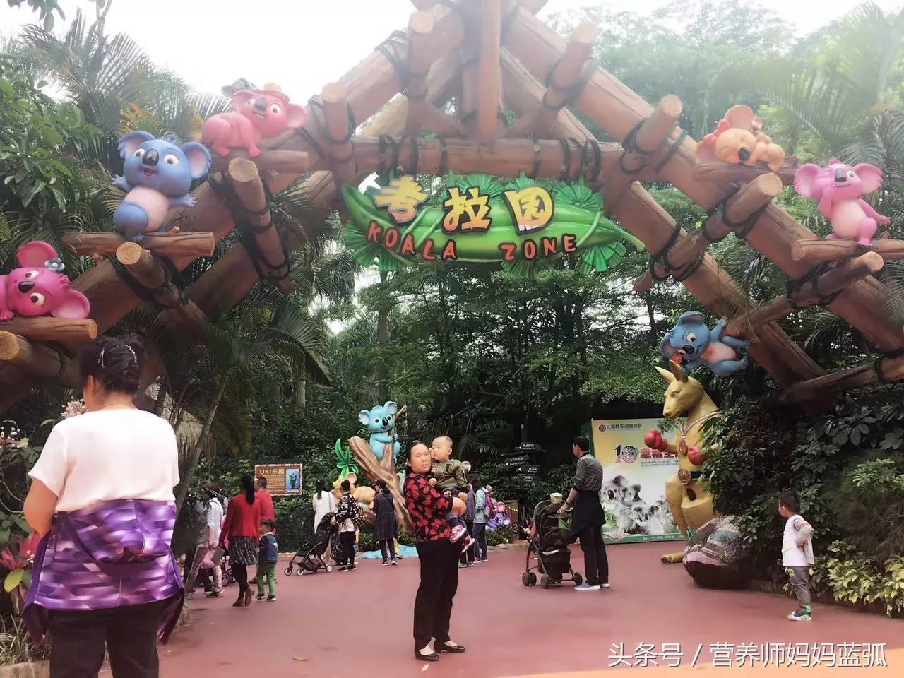 亲子游|井柏然推荐，长隆野生动物世界和海洋王国深度游记！