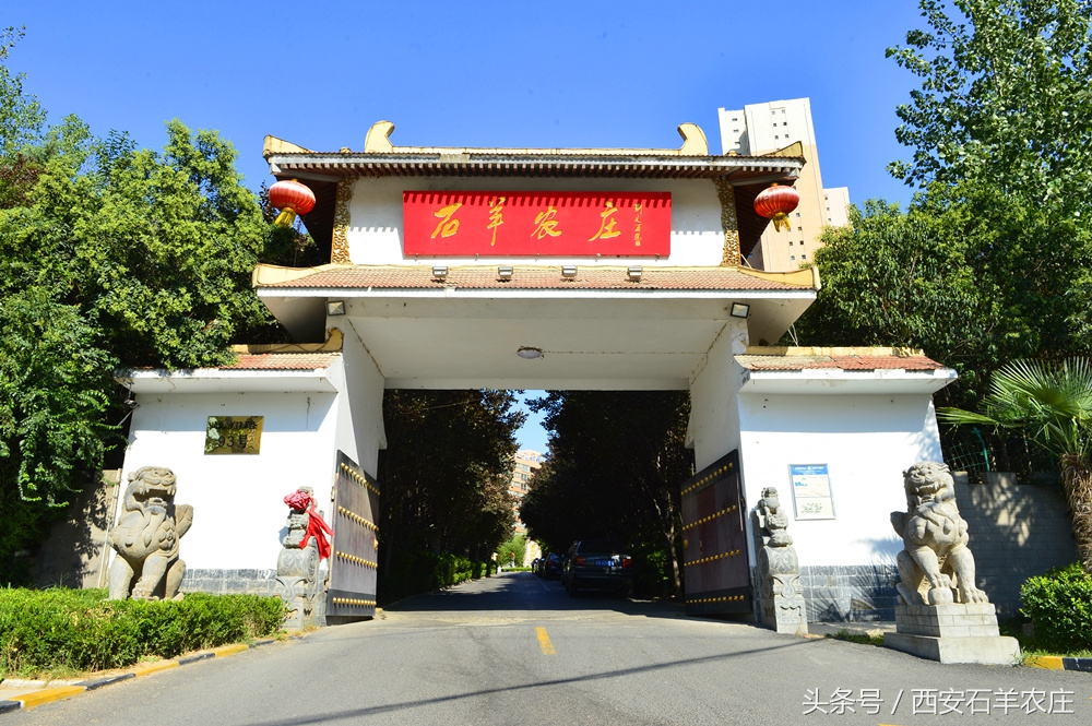 西安周边适合遛娃的度假山庄,西安周边两天一夜度假推荐