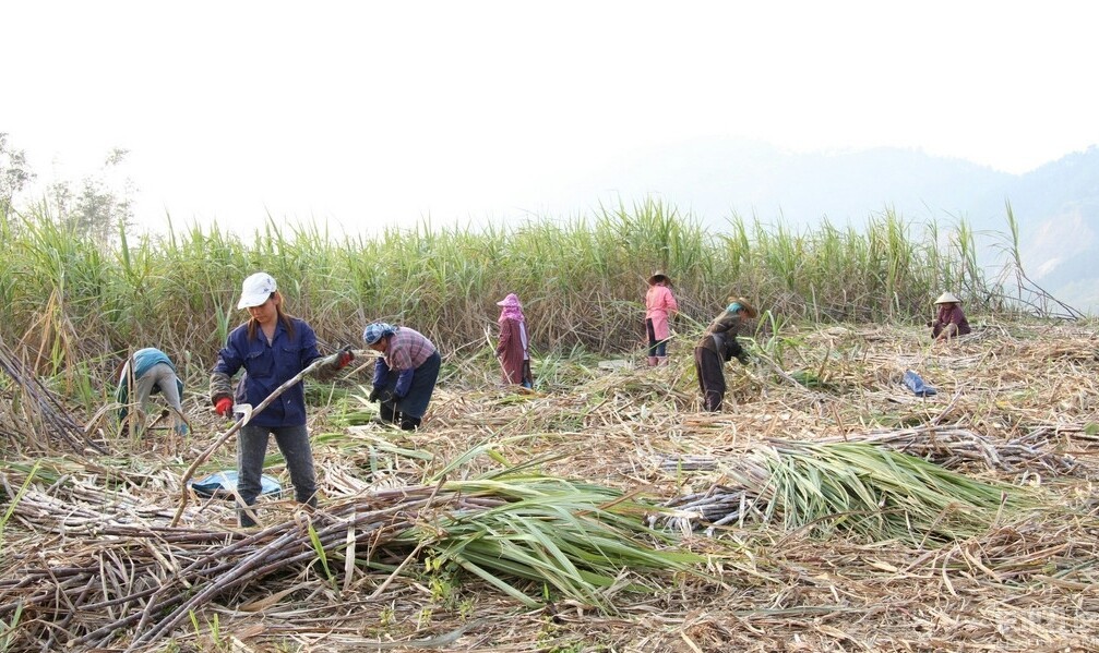 广西女孩选择嫁江浙沪不,广西女孩适合做老婆吗