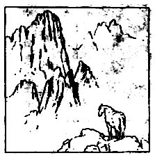 构图讲解全集,浅谈摄影作品中的构图