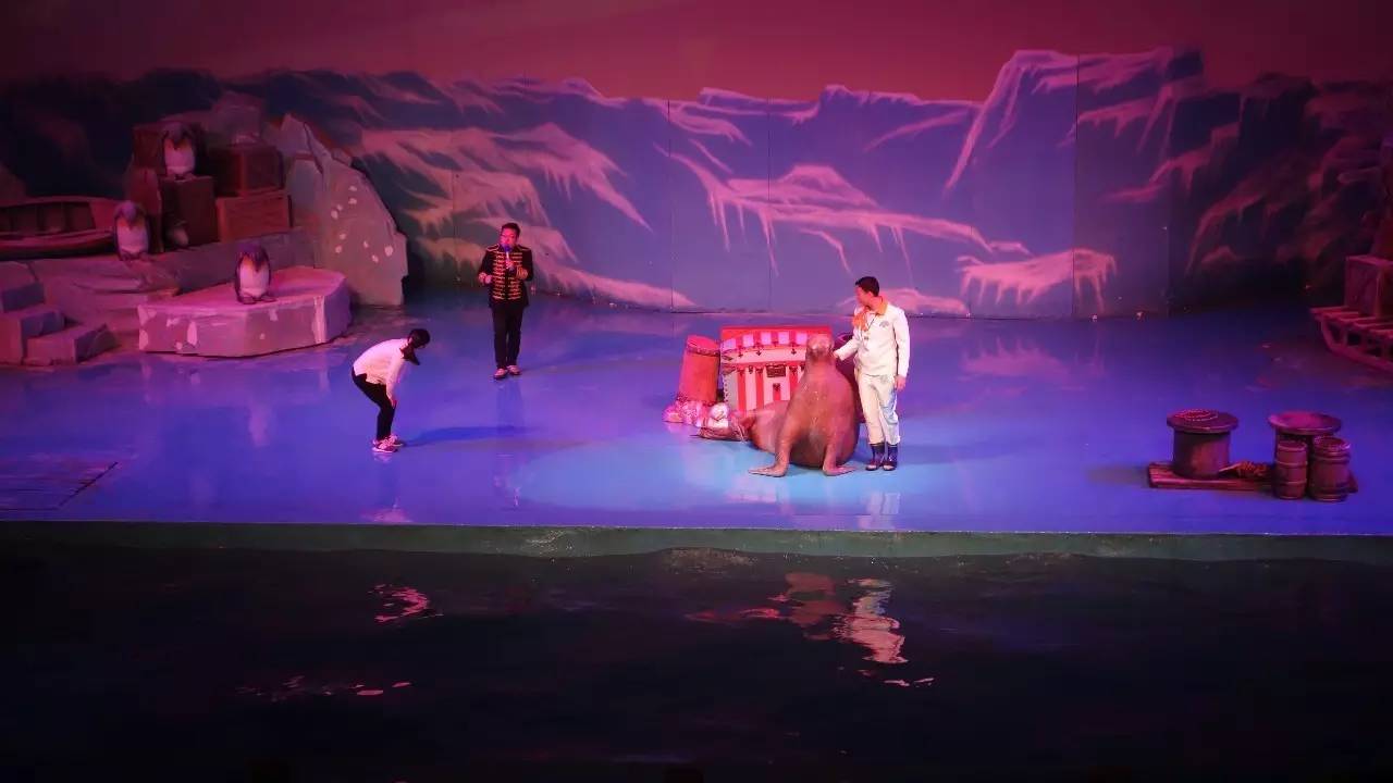 大连好玩的地方滨海路,大连东北路有什么好玩的