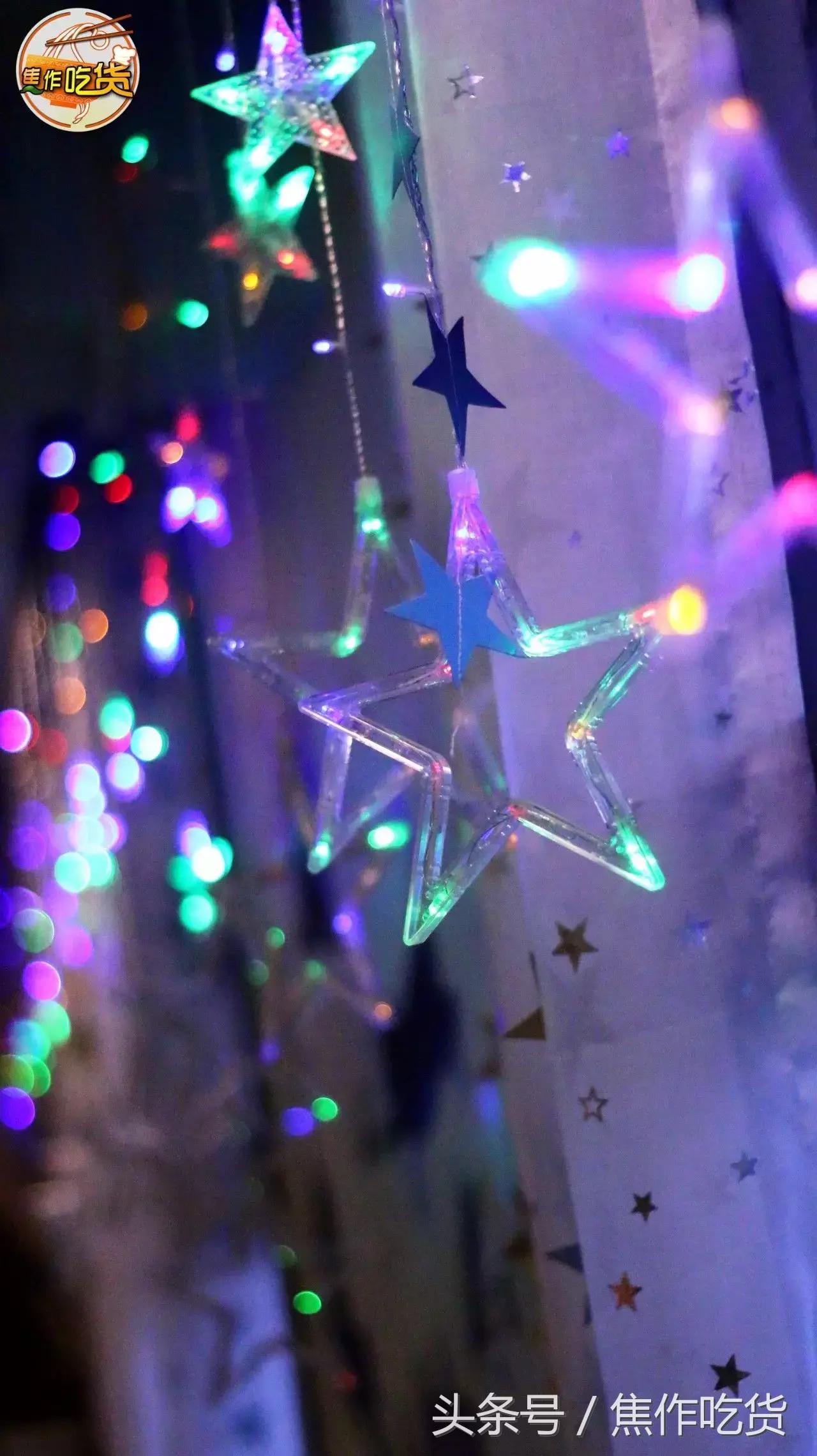 猫咖郑州焦作,焦作猫咖推荐