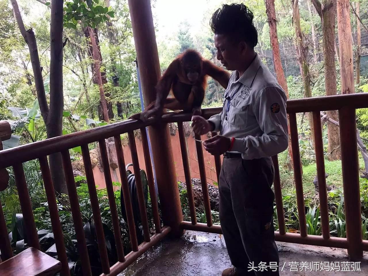 广州长隆海洋王国一日游攻略,广州长隆海洋王国亲子攻略