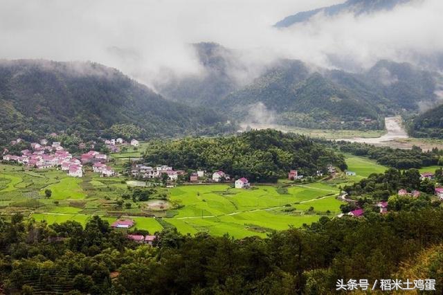 美好如初见：紫云英蜜