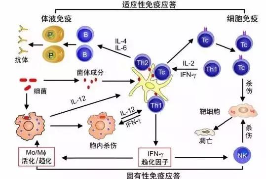 70岁冻龄女人养生秘诀,延缓衰老的冻龄秘诀