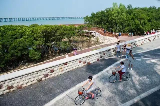 4条社区微巴直达西湾公园，这个“五一”来宝安看海天美景