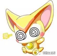 去德国旅游带什么小家电,到德国旅游买什么电器好