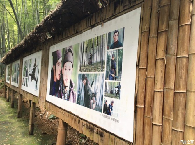 天下第一筇竹,天下第一竹林