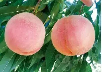 大西安真正的美景,大西安临潼