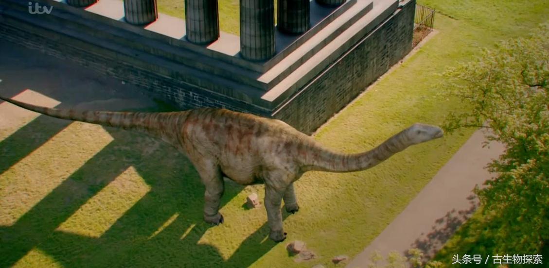 蓝鲸远远超过体型最大的恐龙,海怪的鲸龙视频