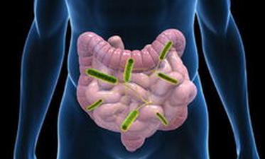 抗过敏益生菌真的可以改善症状嘛,抗过敏的益生菌