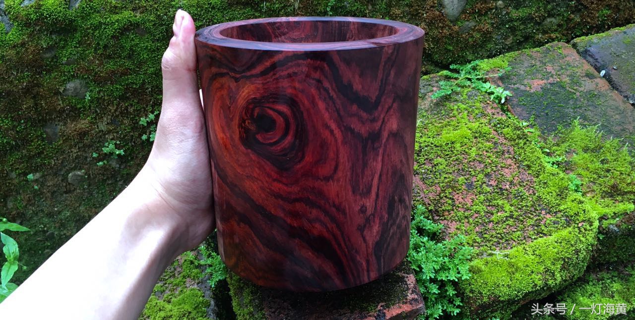 降香“有毒”,爱上海黄就是条“不归路”,带您领略真正在海黄