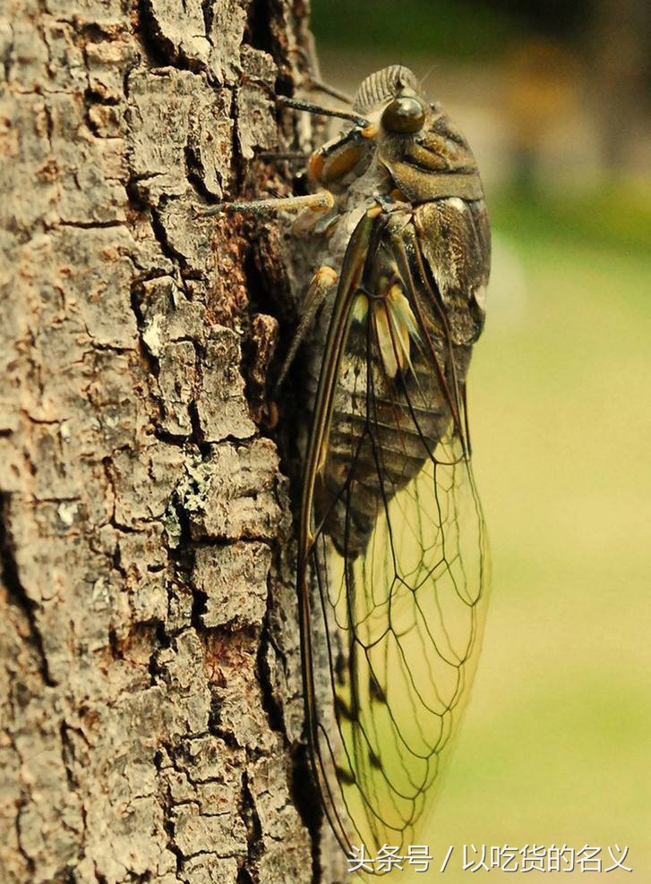80后的我们重拾旧时光图片,80后怀念时光的图片