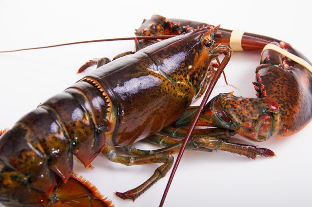 熬出伟大！从平民明星到国宴上宾，它走了几个世纪！