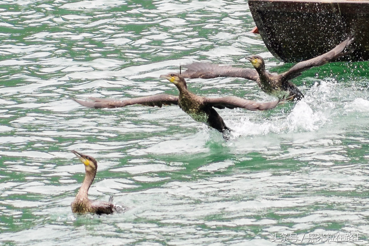 青田侨乡游玩,青田感受欧陆风情