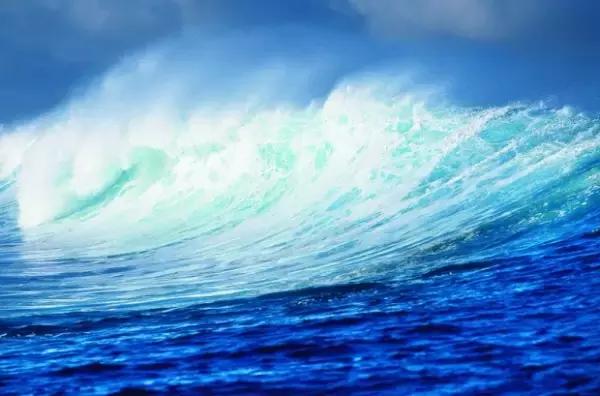 你连常识都不懂还创什么业,你连常识都不懂还怎么去创业