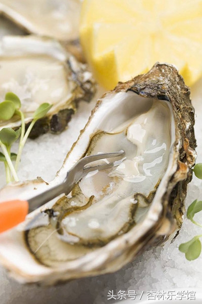 生蚝好吃但难处理,生蚝有着不简单的功效