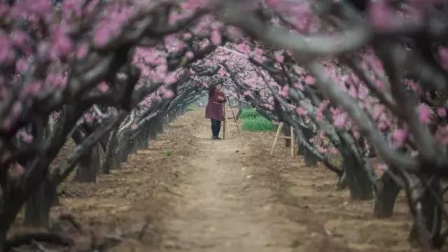 4月照片,4月的照片大全
