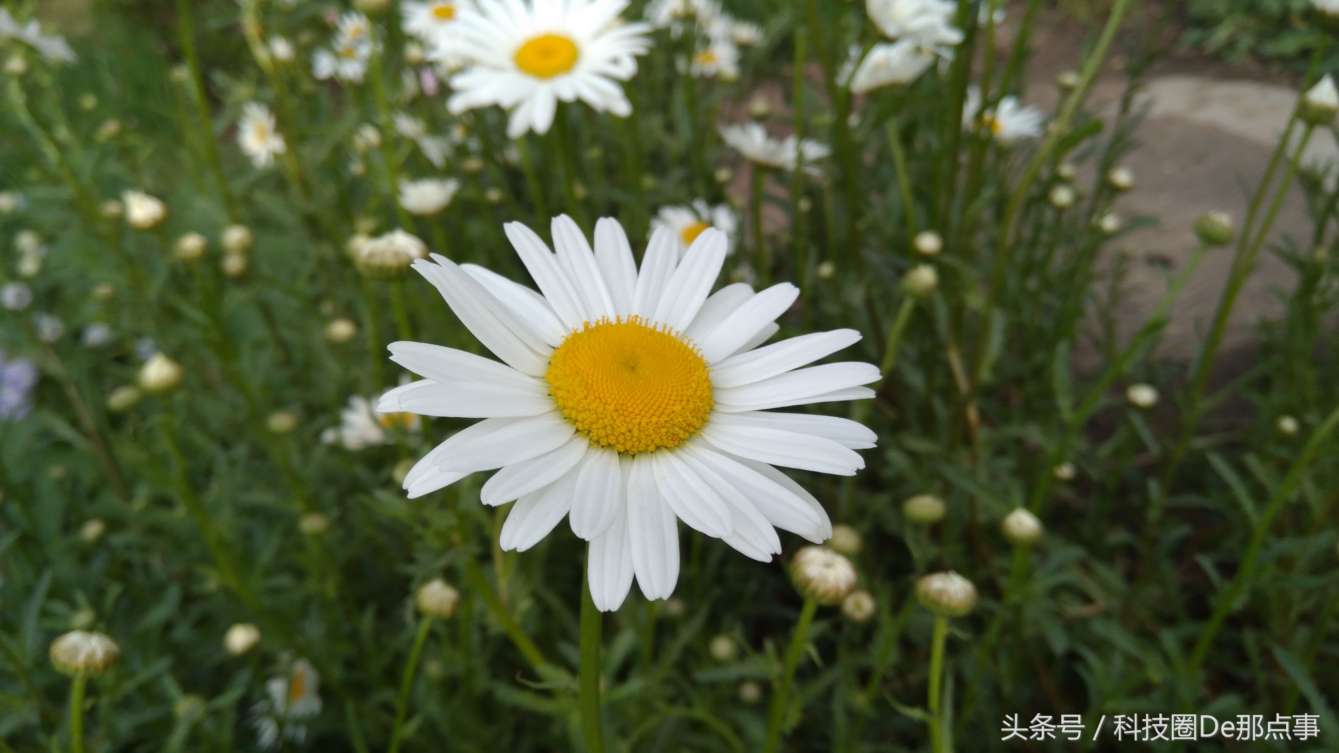 诺基亚nokia6优缺点,诺基亚nokia6值得买吗