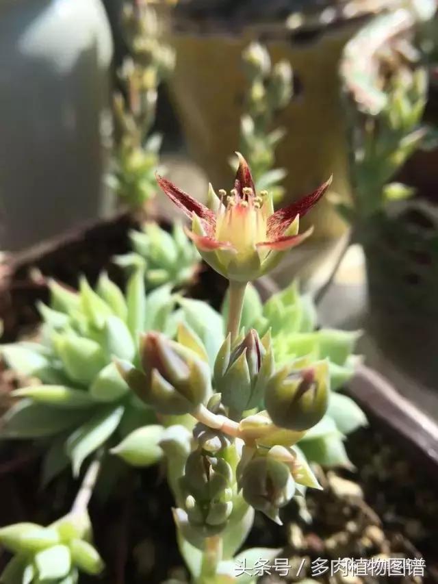 入坑半年的经历,入坑五个月总结