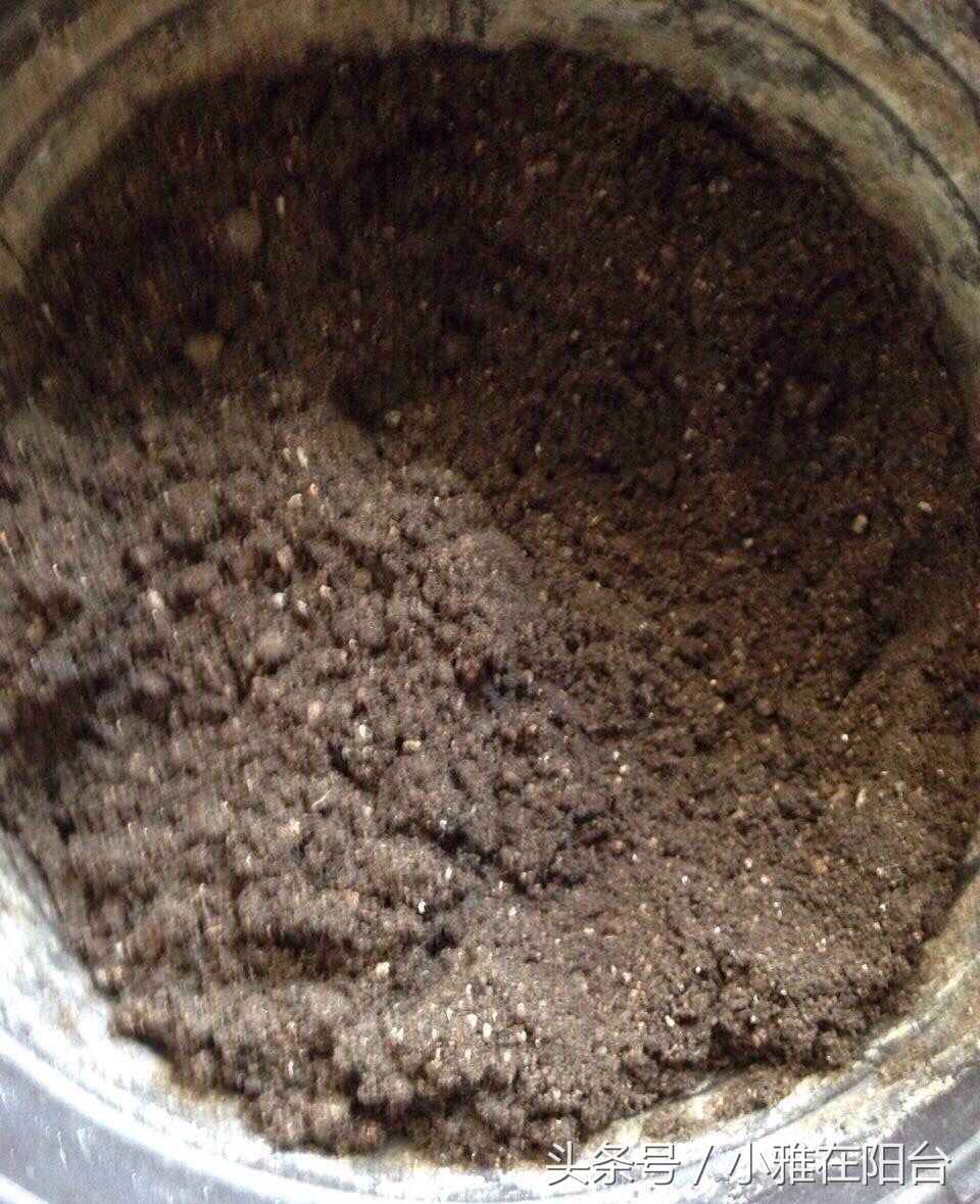 用有机肥料种菜制作方法,用什么做肥料种菜好