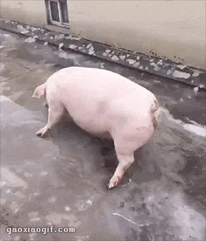 大学时想做侯亮平，工作后想做祁同伟后来发现……