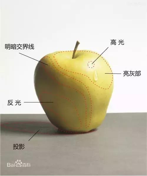 蔡海晨素描零基础入门系列教程,手把手教你从零基础开始学素描